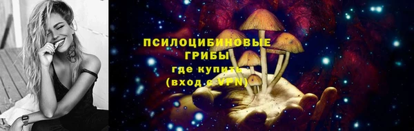 гидра Арсеньев