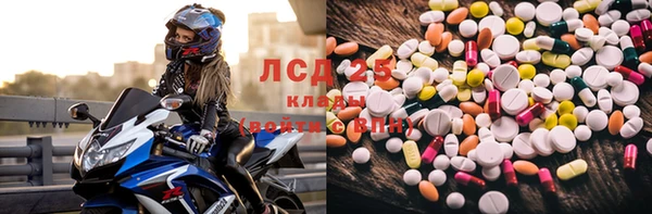 гидра Арсеньев