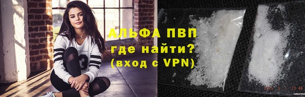 гидра Арсеньев