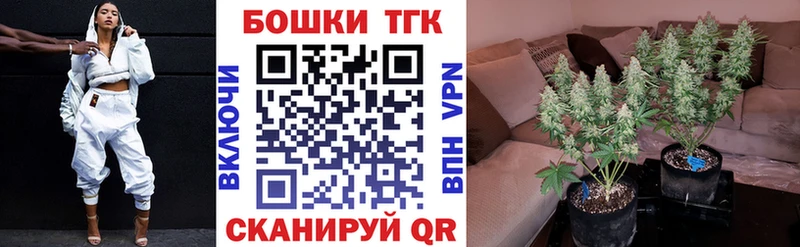 Марихуана конопля  Осташков 
